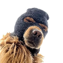 SKI