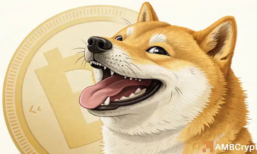 狗狗币有望突破，因为 4.8 亿美元的鲸鱼交易暗示着……
