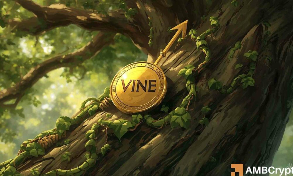 在暴跌 60% 之后，Vine Coin 能否反弹 40%，回升至 0.10 美元？