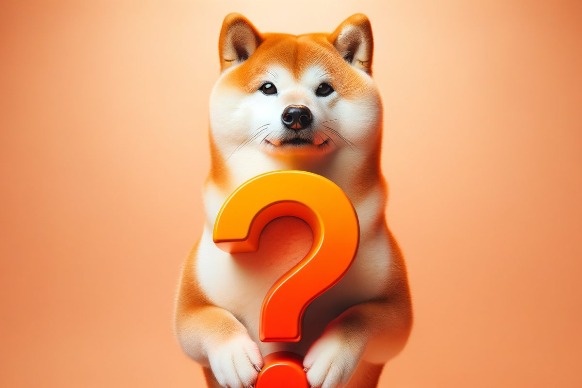 柴犬为何在 2025 年陷入困境？