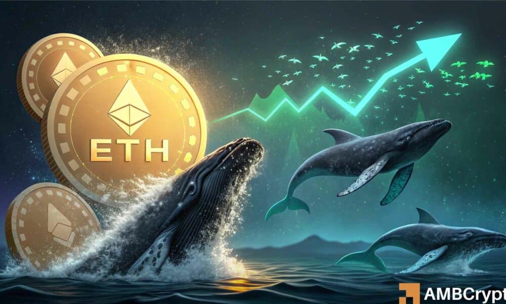 以太坊价格达到 4.4 万美元：随着 ETH 鲸鱼的介入，以太坊价格将出现突破还是假突破？