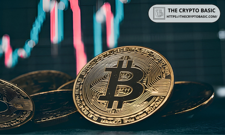 减半后周期表明，9 月份将出现强劲回调，之后第四季度将出现反弹