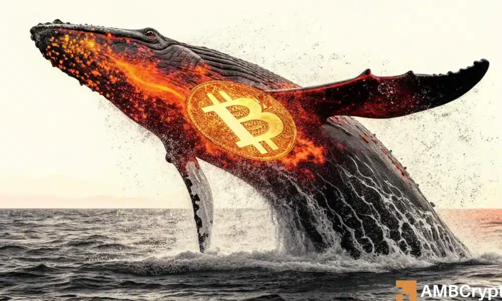 比特币鲸鱼供应量降至 2018 年以来最低水平 488 BTC——恐慌还是机遇？