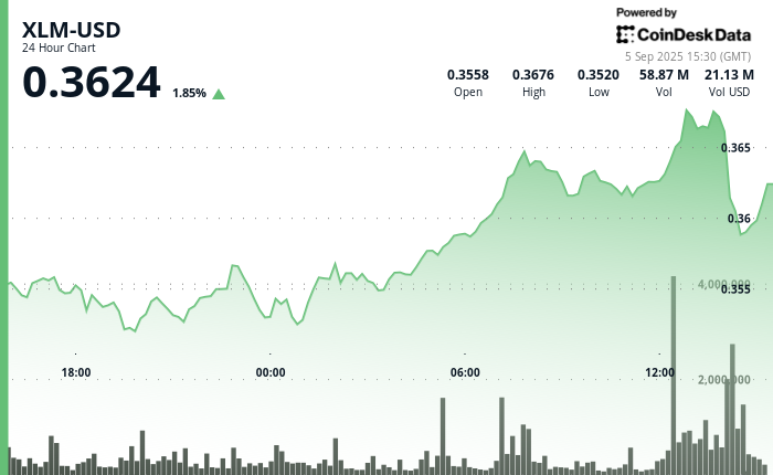 XLM 飙升 5%，然后在最后一小时急剧崩盘
