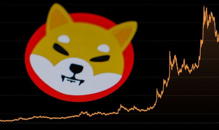 柴犬飙升：资深投资者预测涨幅 17 倍至 0.00023 美元