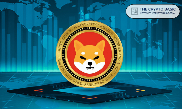 柴犬价格即将公布——关注这个关键区域