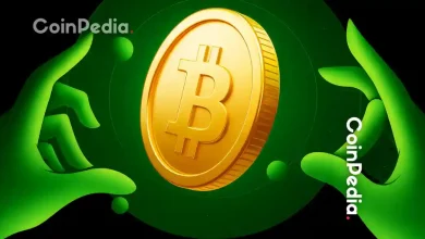 比特币价格在爆炸式上涨后开始降温——真正的上涨行情可能由此开始！