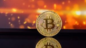 比特币鲸鱼内部：平静的 LTH 与激进的 STH 动态