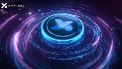 XRP 的秘密武器是什么？Tundra 预售每日催生出新的加密货币百万富翁