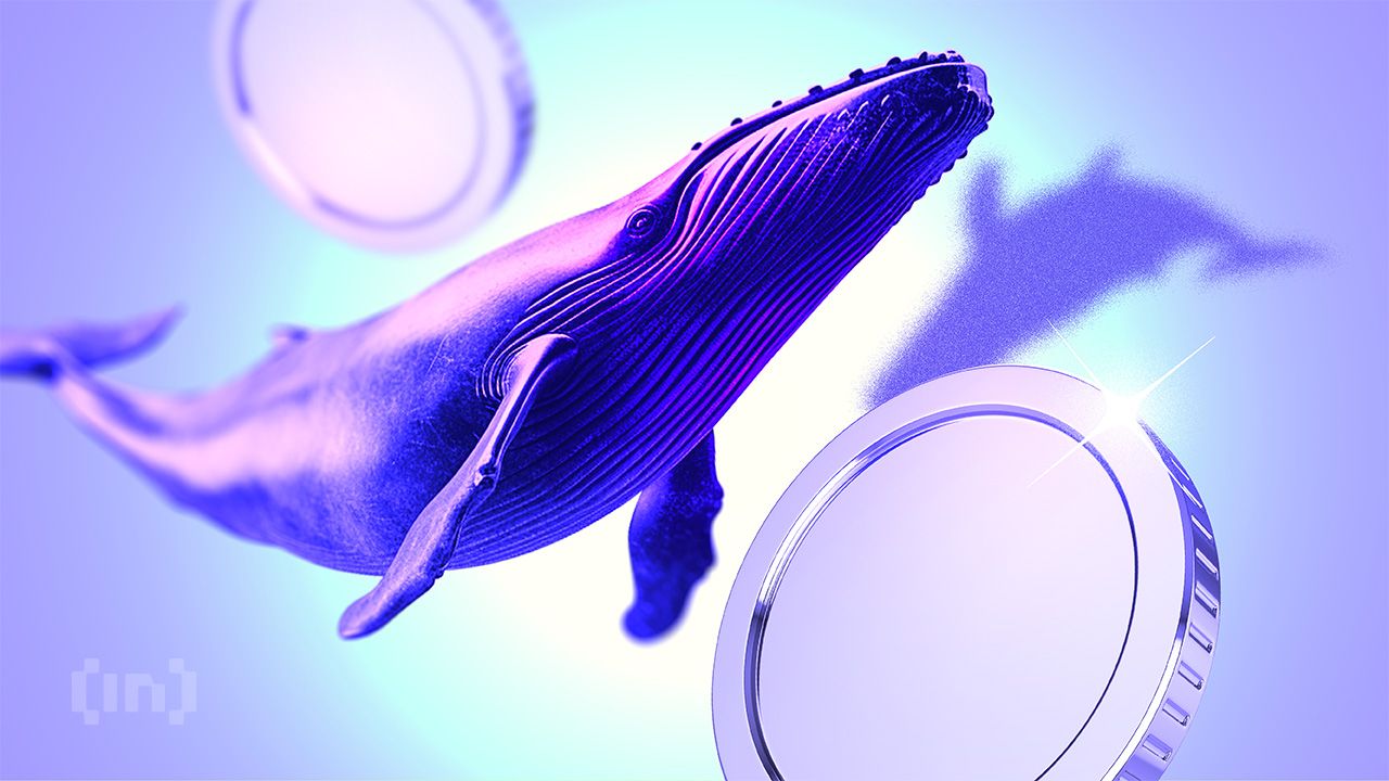 墨西哥航运公司就“白鲸”事件公开道歉，并返还被冻结的300万美元资金。