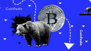 比特币价格分析：牛市行情是否正在失去动力，还是即将迎来大幅反弹？