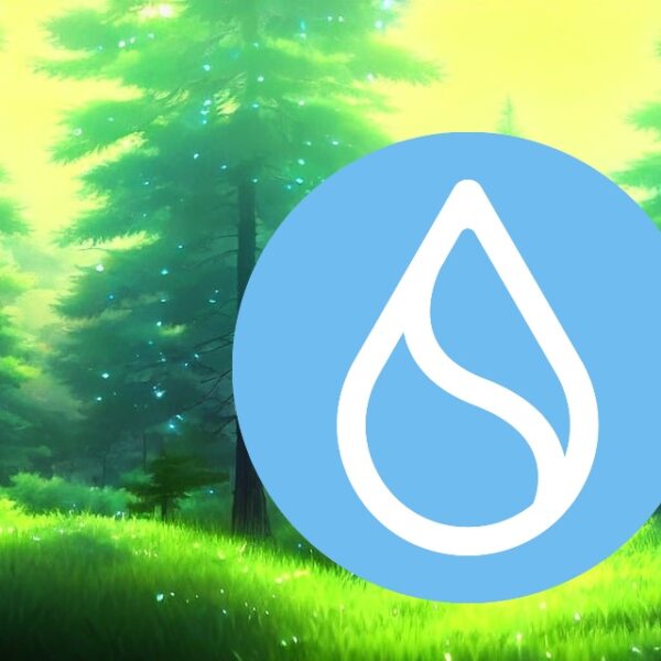 Sui Crypto是表现最差的加密货币之一:它能守住支撑位吗?