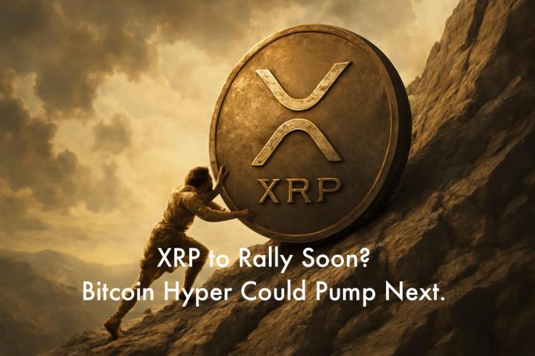 XRP 准备好迎接新一轮上涨了吗?为什么比特币超级预售现在如此火爆?
