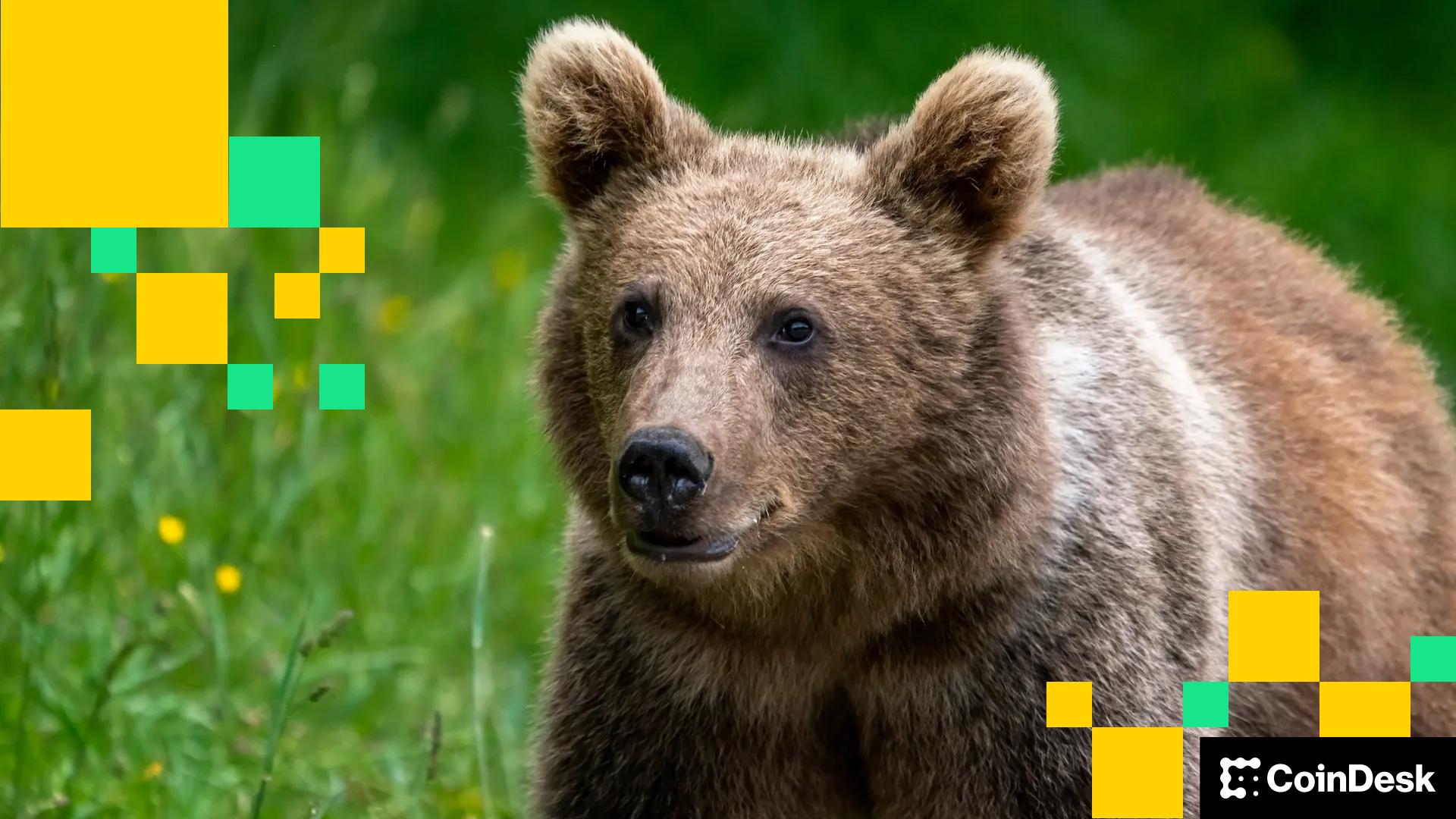 QCP称比特币市场目前“极度看跌”:亚洲早间简报