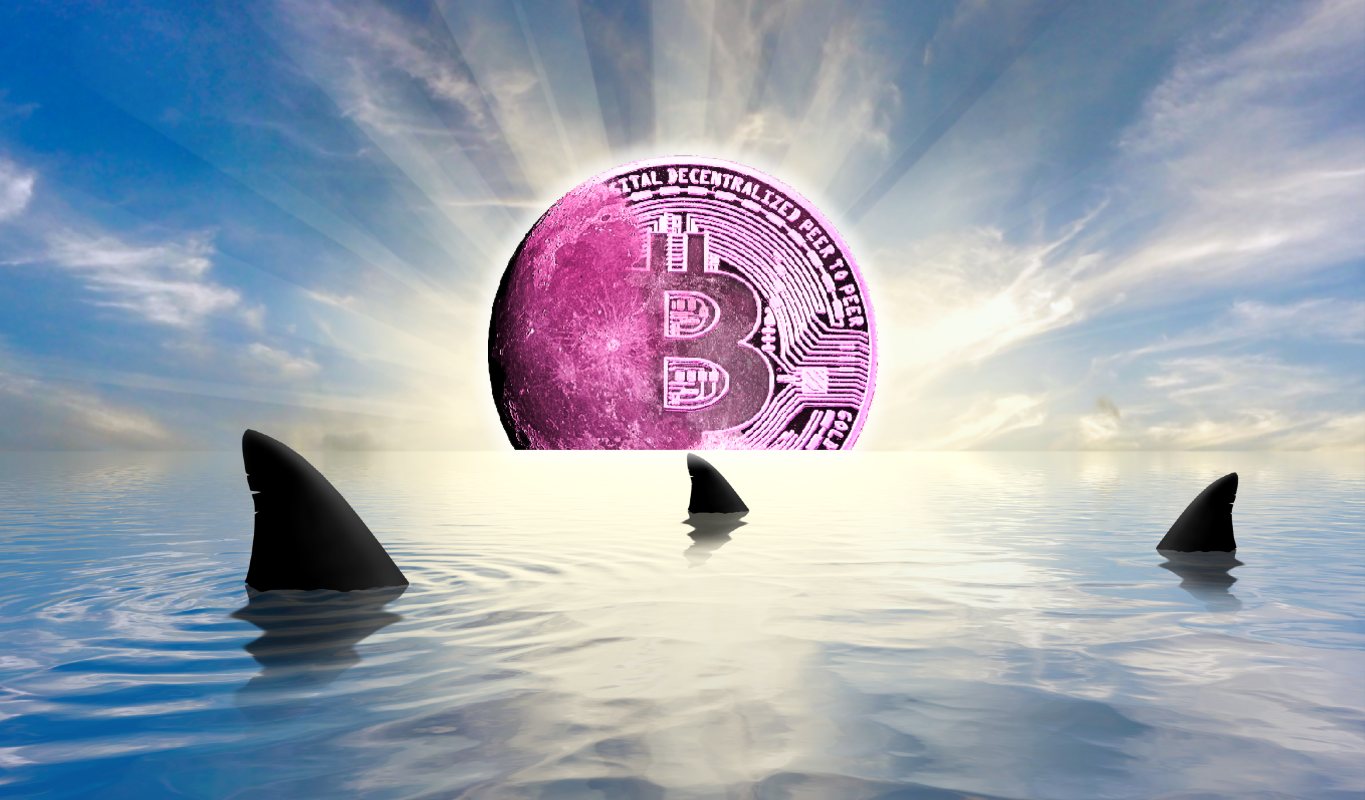 Bitwise首席信息官Matt Hougan预测比特币价格将在2025年底达到峰值,并称加密货币零售市场“极度绝望”。