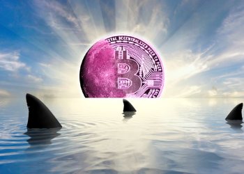 Bitwise首席信息官Matt Hougan预测比特币价格将在2025年底达到峰值,并称加密货币零售市场正处于“极度绝望”状态。