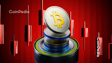 比特币价格分析:需要关注的关键价位和山寨币轮动信号