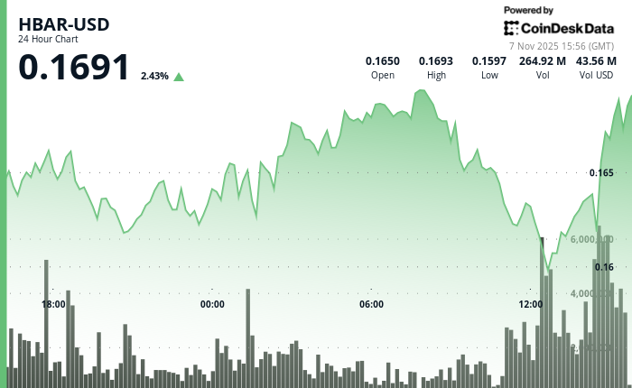受悲观预期影响,HBAR股价小幅下跌2.3%至0.164美元